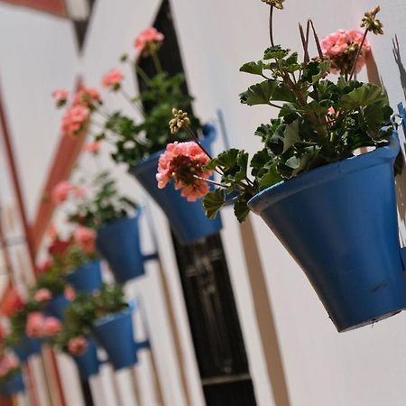 Apartamento La Estrella 科爾多瓦 外观 照片