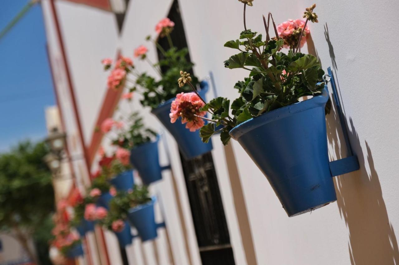 Apartamento La Estrella 科爾多瓦 外观 照片