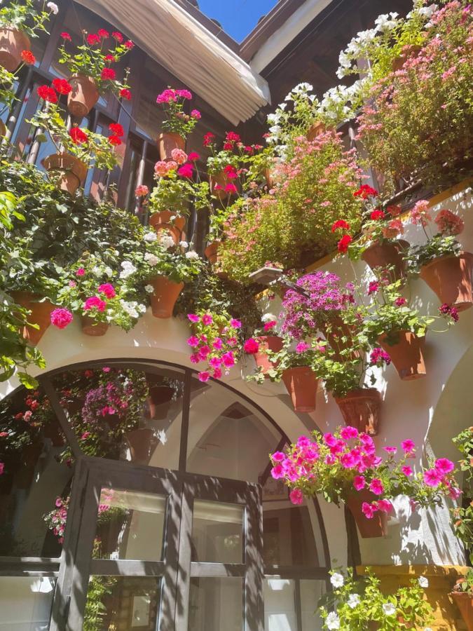 Apartamento La Estrella 科爾多瓦 外观 照片